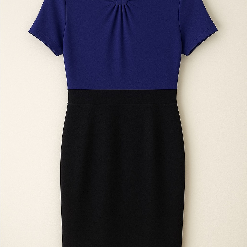 Elegant Blue and Black Women's Dress